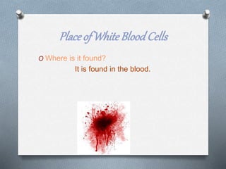 Placeof WhiteBloodCells
O Where is it found?
It is found in the blood.
 