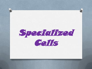 Specialized
Cells

 