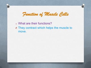 Function of Muscle Cells
o What are their functions?
O They contract which helps the muscle to

move.

 