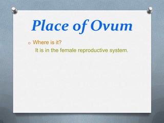 Place of Ovum
o Where is it?

It is in the female reproductive system.

 