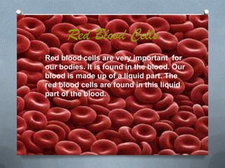 Red Blood Cells
O Red blood cells are very important for

our bodies. It is found in the blood. Our
blood is made up of a liquid part. The
red blood cells are found in this liquid
part of the blood.

 