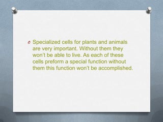 O Specialized cells for plants and animals

are very important. Without them they
won’t be able to live. As each of these
cells preform a special function without
them this function won’t be accomplished.

 