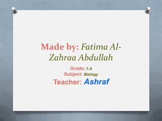 Made by: Fatima AlZahraa Abdullah
Grade: 7.A
Subject: Biology

Teacher: Ashraf

 
