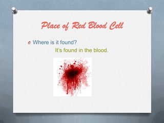 Place of Red Blood Cell
O Where is it found?

It’s found in the blood.

 