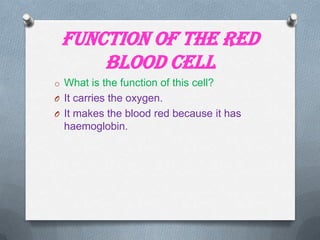 Function of the Red
Blood Cell
o What is the function of this cell?
O It carries the oxygen.
O It makes the blood red because it has

haemoglobin.

 