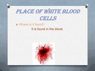 Place of White Blood
Cells
O Where is it found?

It is found in the blood.

 