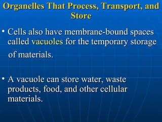 Specialized Cells Q And A | PPT