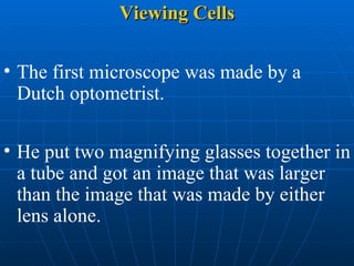 Viewing Cells ,[object Object],[object Object]