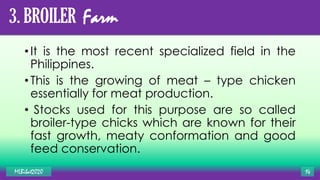 3. BROILER Farm
•It is the most recent specialized field in the
Philippines.
•This is the growing of meat – type chicken
essentially for meat production.
• Stocks used for this purpose are so called
broiler-type chicks which are known for their
fast growth, meaty conformation and good
feed conservation.
MLBibat2020 14
 