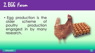 2. EGG Farm
• Egg production is the
older scheme of
poultry production
engaged in by many
research.
MLBibat2020 7
 