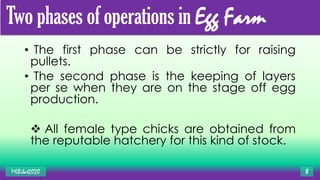 Two phases of operations in Egg Farm
• The first phase can be strictly for raising
pullets.
• The second phase is the keeping of layers
per se when they are on the stage off egg
production.
 All female type chicks are obtained from
the reputable hatchery for this kind of stock.
MLBibat2020 8
 