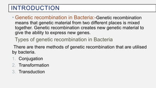 INTRODUCTION
• Genetic recombination in Bacteria:-Genetic recombination
means that genetic material from two different places is mixed
together. Genetic recombination creates new genetic material to
give the ability to express new genes.
Types of genetic recombination in Bacteria
There are there methods of genetic recombination that are utilised
by bacteria.
1. Conjugation
2. Transformation
3. Transduction
 