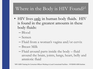 Where in the Body is HIV Found?1
• HIV lives only in human body fluids. HIV
  is found in the greatest amounts in these
  body fluids:
     – Blood
     – Semen
     – Fluid from a woman’s vagina and/or cervix
     – Breast Milk
     – Fluid around parts inside the body – fluid
       around the brain, joints, lungs, heart, belly and
       amniotic fluid
1HIV/AIDS   Training for Correction Officers Working in Local Correctional Facilities – NYSDOH AIDS Institute
 