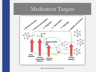 Medication Targets




    http://www.bcm.edu/molvir/hivaids
 