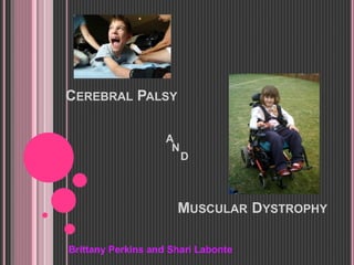 CEREBRAL PALSY
A
MUSCULAR DYSTROPHY
N
D
Brittany Perkins and Shari Labonte
 