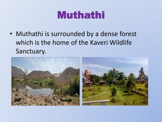 Muthathi
• Muthathi is surrounded by a dense forest
which is the home of the Kaveri Wildlife
Sanctuary.

 