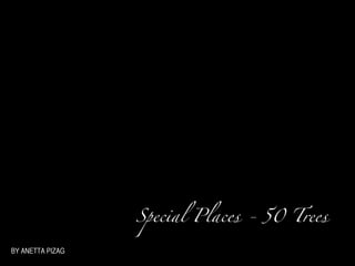 Special Places - 50 Trees

BY ANETTA PIZAG
 