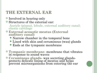 Special sense of hearing