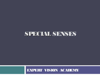 SPECIALSPECIAL SENSES
EXPERT VISION ACADEMY
 