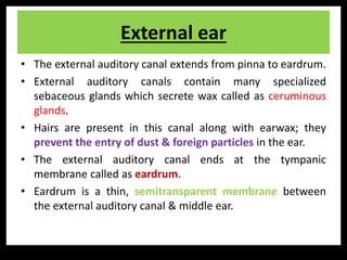 Special sense organs | PPTX