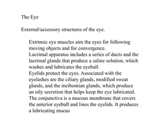 The EyeExternal/accessory structures of the eye. Extrinsic eye muscles aim the eyes for following moving objects and for convergence. Lacrimal apparatus includes a series of ducts and the lacrimal glands that produce a saline solution, which washes and lubricates the eyeball. Eyelids protect the eyes. Associated with the eyelashes are the ciliary glands, modified sweat glands, and the meibomian glands, which produce an oily secretion that helps keep the eye lubricated. The conjunctiva is a mucous membrane that covers the anterior eyeball and lines the eyelids. It produces a lubricating mucus 
