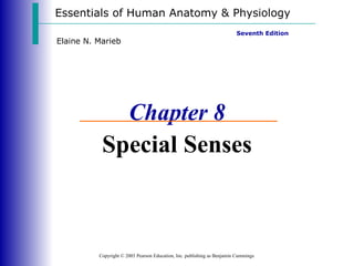 Essentials of Human Anatomy & Physiology Copyright © 2003 Pearson Education, Inc. publishing as Benjamin Cummings Seventh Edition Elaine N. Marieb Chapter 8 Special Senses 