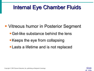 Internal Eye Chamber Fluids Slide 8.15b Copyright © 2003 Pearson Education, Inc. publishing as Benjamin Cummings Vitreous humor in Posterior Segment Gel-like substance behind the lens Keeps the eye from collapsing Lasts a lifetime and is not replaced 