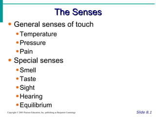 The Senses Slide 8.1 Copyright © 2003 Pearson Education, Inc. publishing as Benjamin Cummings General senses of touch Temperature Pressure Pain Special senses Smell Taste Sight Hearing Equilibrium 