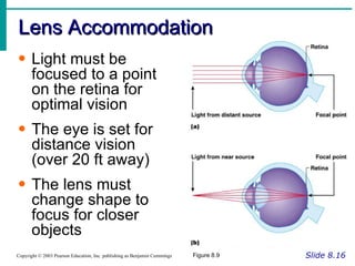 Lens Accommodation Slide 8.16 Copyright © 2003 Pearson Education, Inc. publishing as Benjamin Cummings Light must be focused to a point on the retina for optimal vision The eye is set for distance vision  (over 20 ft away) The lens must change shape to focus for closer objects Figure 8.9 