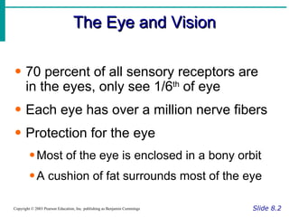 The Eye and Vision Slide 8.2 Copyright © 2003 Pearson Education, Inc. publishing as Benjamin Cummings 70 percent of all sensory receptors are in the eyes, only see 1/6 th  of eye Each eye has over a million nerve fibers Protection for the eye Most of the eye is enclosed in a bony orbit A cushion of fat surrounds most of the eye 