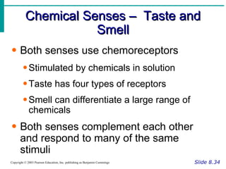 Chemical Senses –  Taste and Smell Slide 8.34 Copyright © 2003 Pearson Education, Inc. publishing as Benjamin Cummings Both senses use chemoreceptors Stimulated by chemicals in solution Taste has four types of receptors Smell can differentiate a large range of chemicals Both senses complement each other and respond to many of the same stimuli 