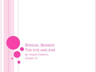 SPECIAL SENSES:
THE EYE AND EAR
By: Angela Calderon
Chapter 13
 