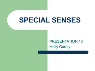 SPECIAL SENSES

      PRESENTATION 13
      Molly Garrity
 