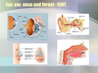 Eye, ear, nose and throat - EENT
 
