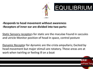 EQUILIBRIUM
-Responds to head movement without awareness
-Receptors of inner ear are divided into two parts:
Static Sensory receptors for static are the maculae Found in saccules
and utricle Monitor position of head in space, control posture
Dynamic Receptor for dynamic are the crista ampullaris; Excited by
head movement but major stimuli are rotatory. These areas are at
work when twirling or feeling ill on a boat

 