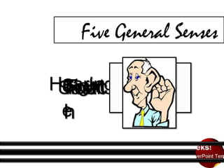 Five General Senses:
Hearing
Sight
Touc
Smell
Tast
e
h

 