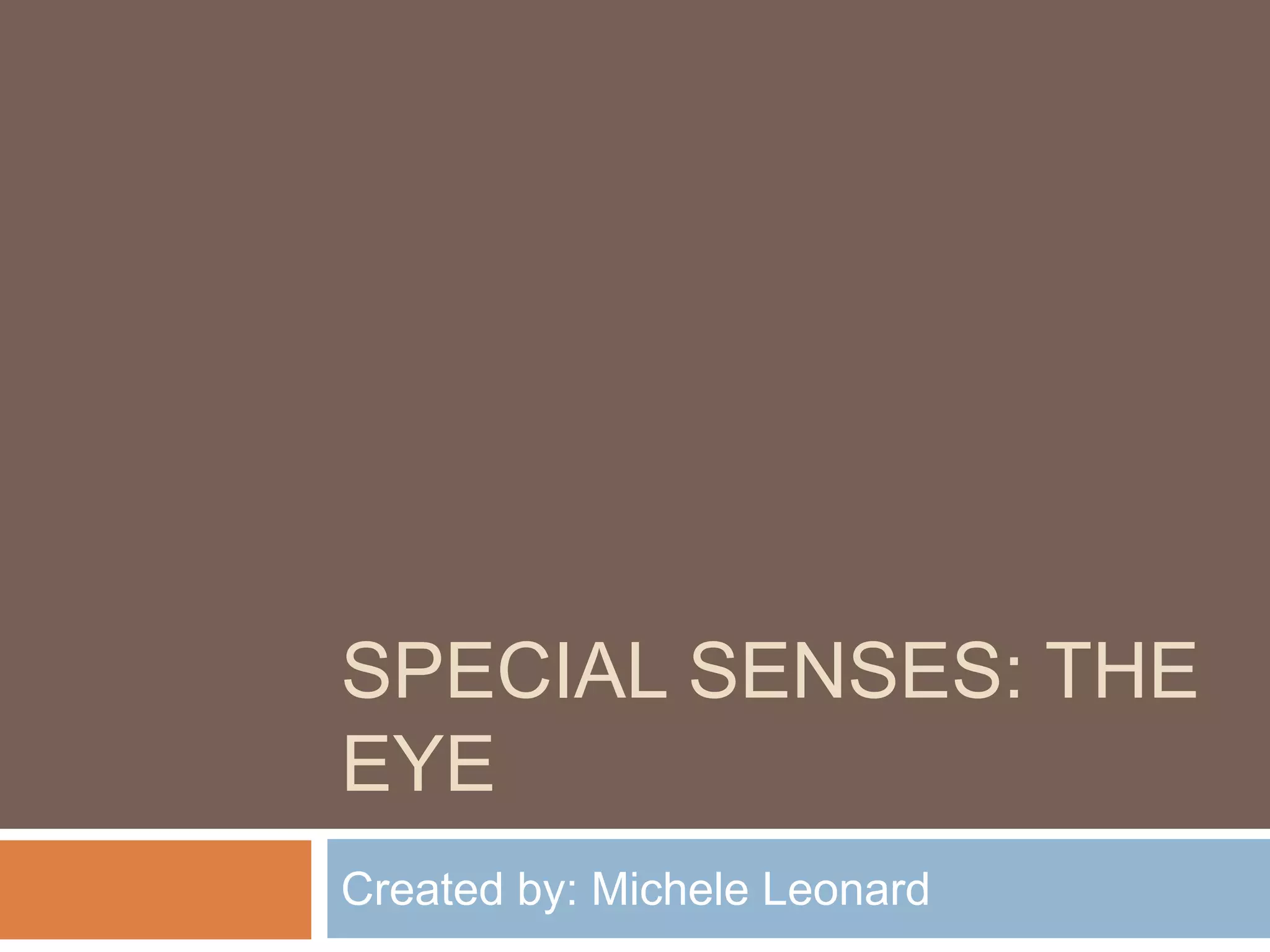 SPECIAL SENSES: THE
EYE
Created by: Michele Leonard