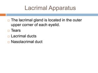 Lacrimal Apparatus
The lacrimal gland is located in the outer
upper corner of each eyelid.
Tears
Lacrimal ducts
Nasolacrimal duct
