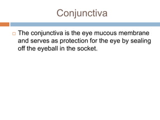 Conjunctiva
The conjunctiva is the eye mucous membrane
and serves as protection for the eye by sealing
off the eyeball in the socket.
