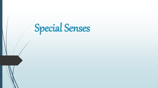 Special Senses
 