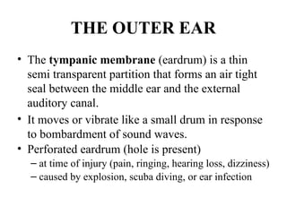 SPECIAL SENSES.pptx. A comprehensive insight on the sense organs | PPTX