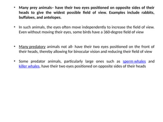 SPECIAL SENSES for veterinary students.pptx