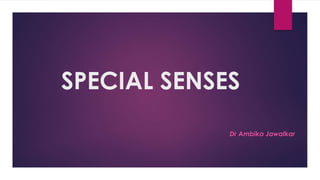 SPECIAL SENSES
Dr Ambika Jawalkar
 