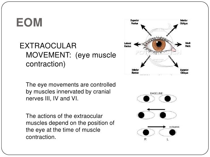Special Senses Presen 13