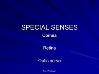 SPECIAL SENSES
Cornea
Retina
Optic nerve
Prof.J.Anbalagan
 