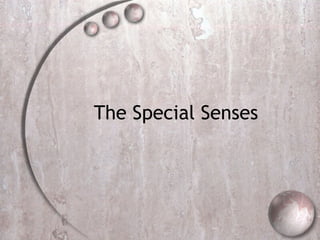 The Special Senses 