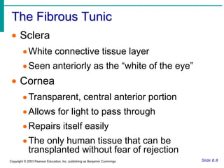 Protection for the eye