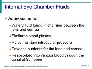 Membrane that lines the eyelids