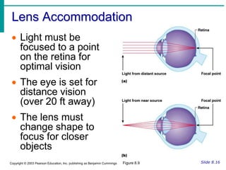 Secretes mucus to lubricate the eyeSlide 8.4aCopyright © 2003 Pearson Education, Inc. publishing as Benjamin Cummings