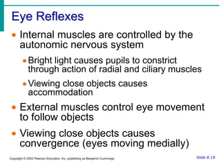 Accessory Structures of the EyeLacrimal sac – provides passage of lacrimal fluid towards nasal cavityFigure 8.1aSlide 8.4cCopyright © 2003 Pearson Education, Inc. publishing as Benjamin Cummings